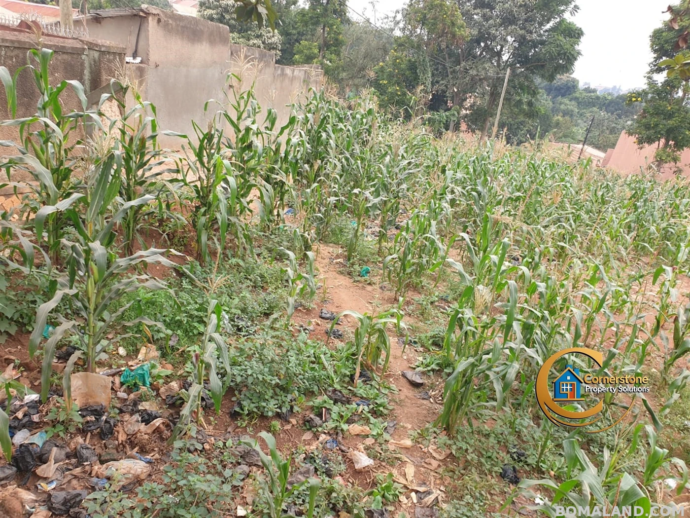 Residential Land for sale in Mpererwe Wakiso Uganda