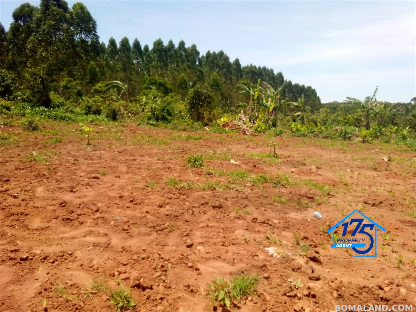 Residential Land for sale in Bukeelele Mukono Uganda