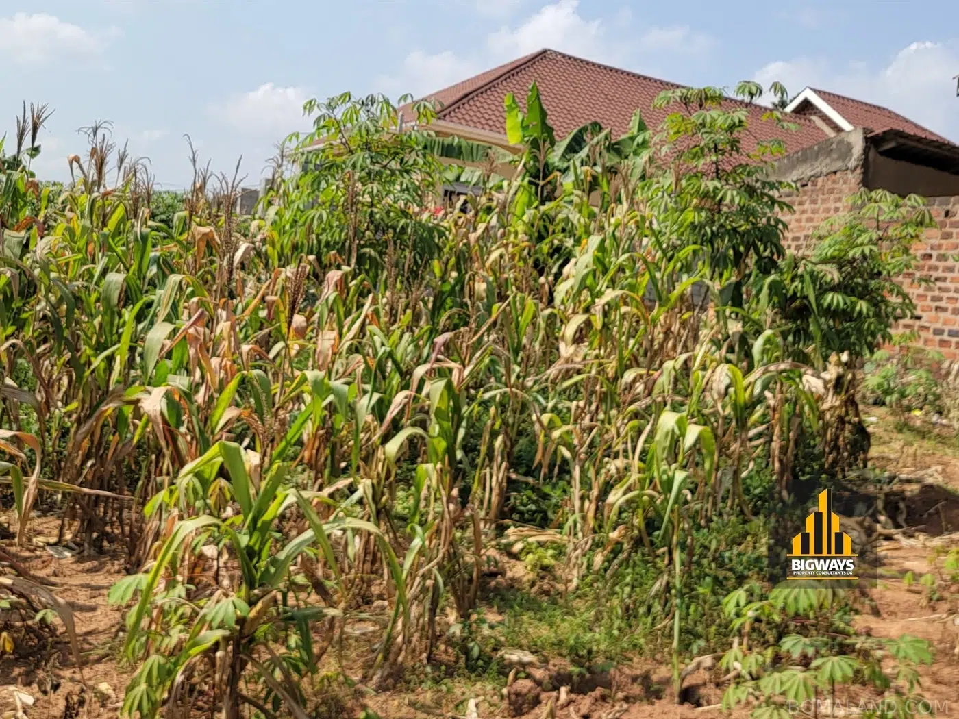 Residential Land for sale in Sonde Wakiso Uganda
