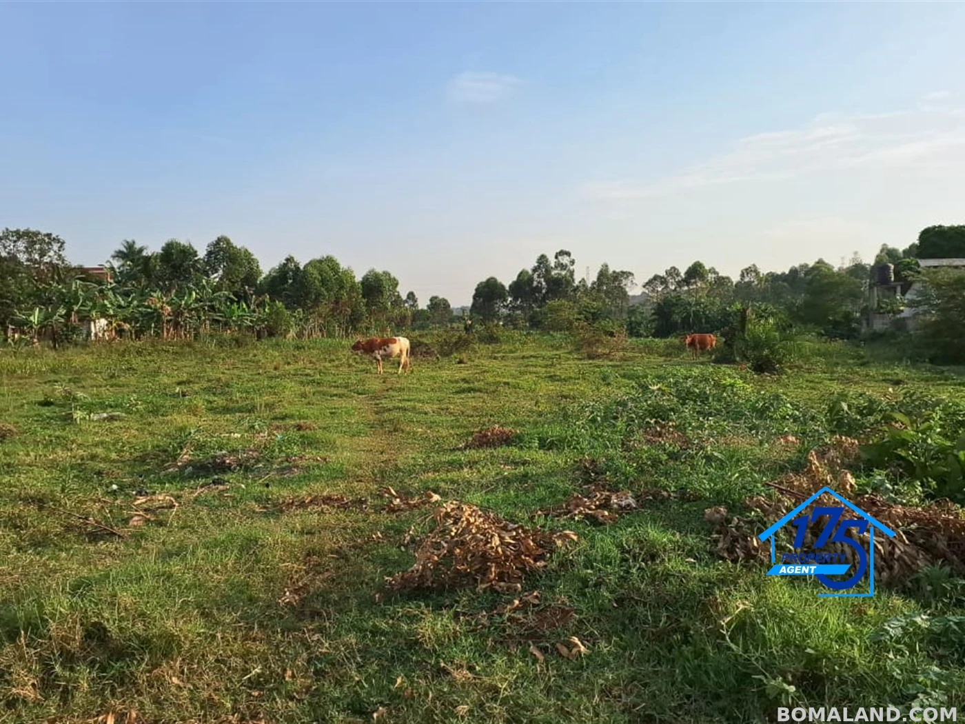 Residential Land for sale in Nabusugwe Wakiso Uganda