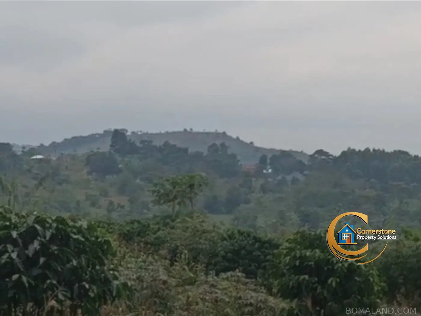 Agricultural Land for sale in Kiyanja Mukono Uganda