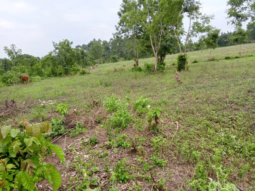 Recreational Land for sale in Namatogonya Kayunga Uganda