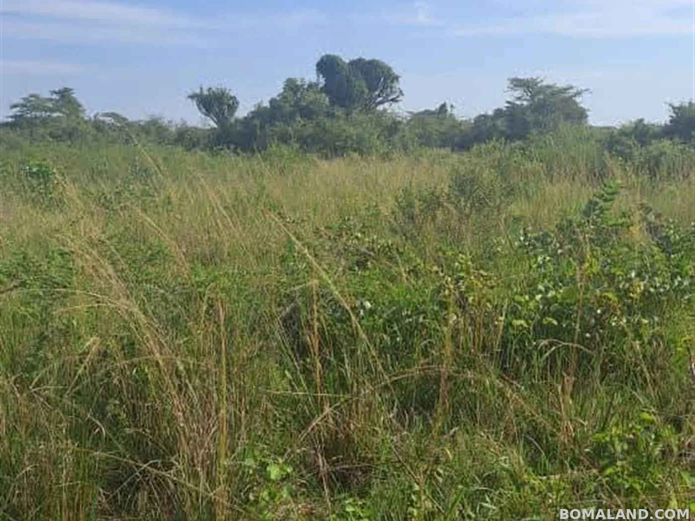 Agricultural Land for sale in Kiwoko Luweero Uganda