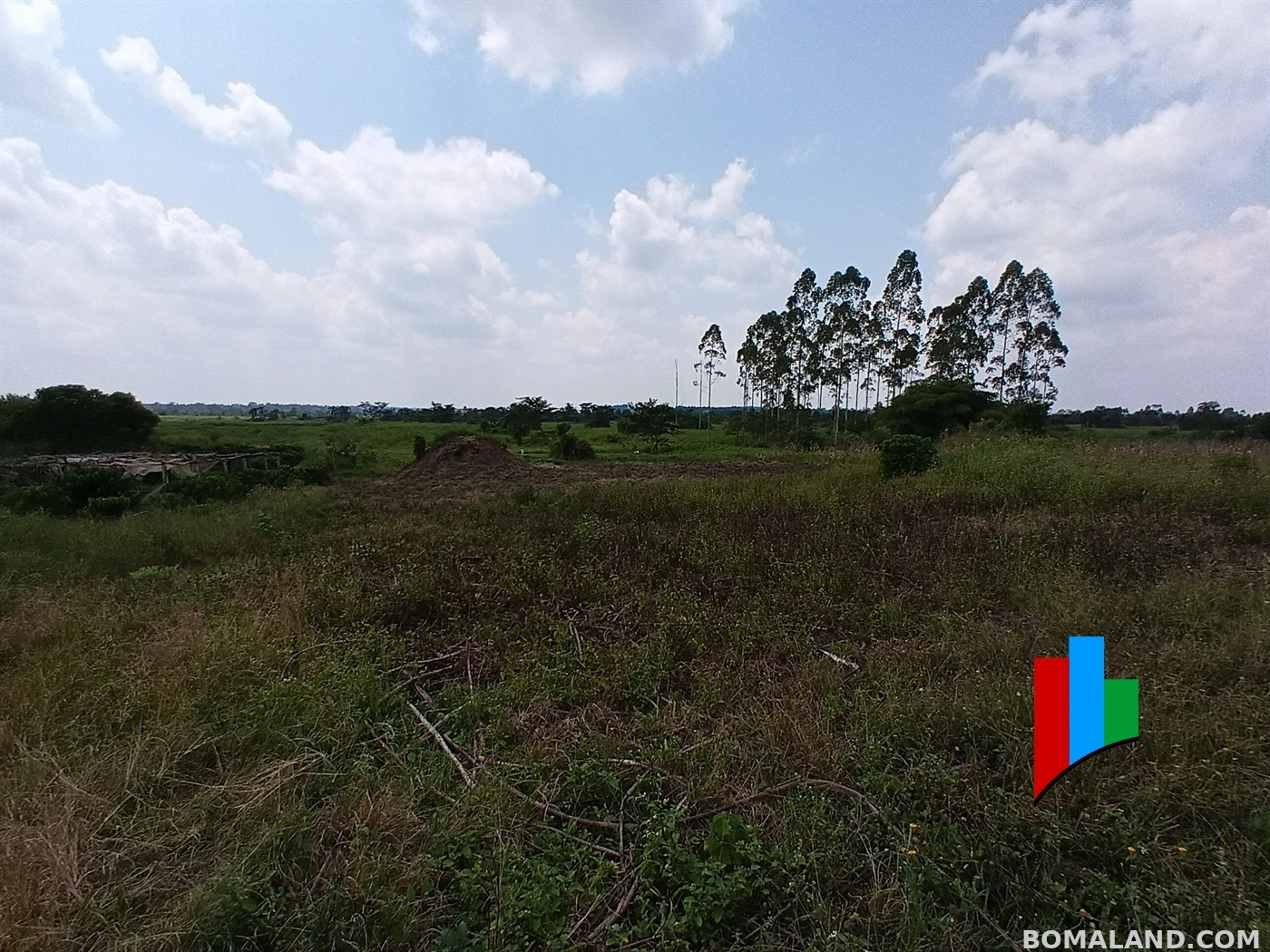 Agricultural Land for sale in Kiwoko Nakaseke Uganda