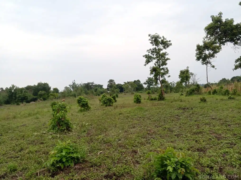 Recreational Land for sale in Namatogonya Kayunga Uganda