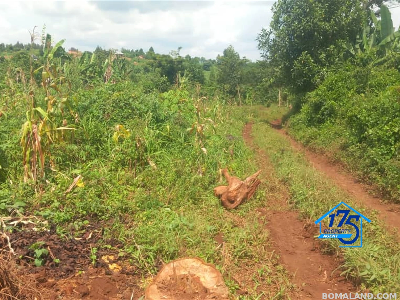 Residential Land for sale in Kisoga Mukono Uganda