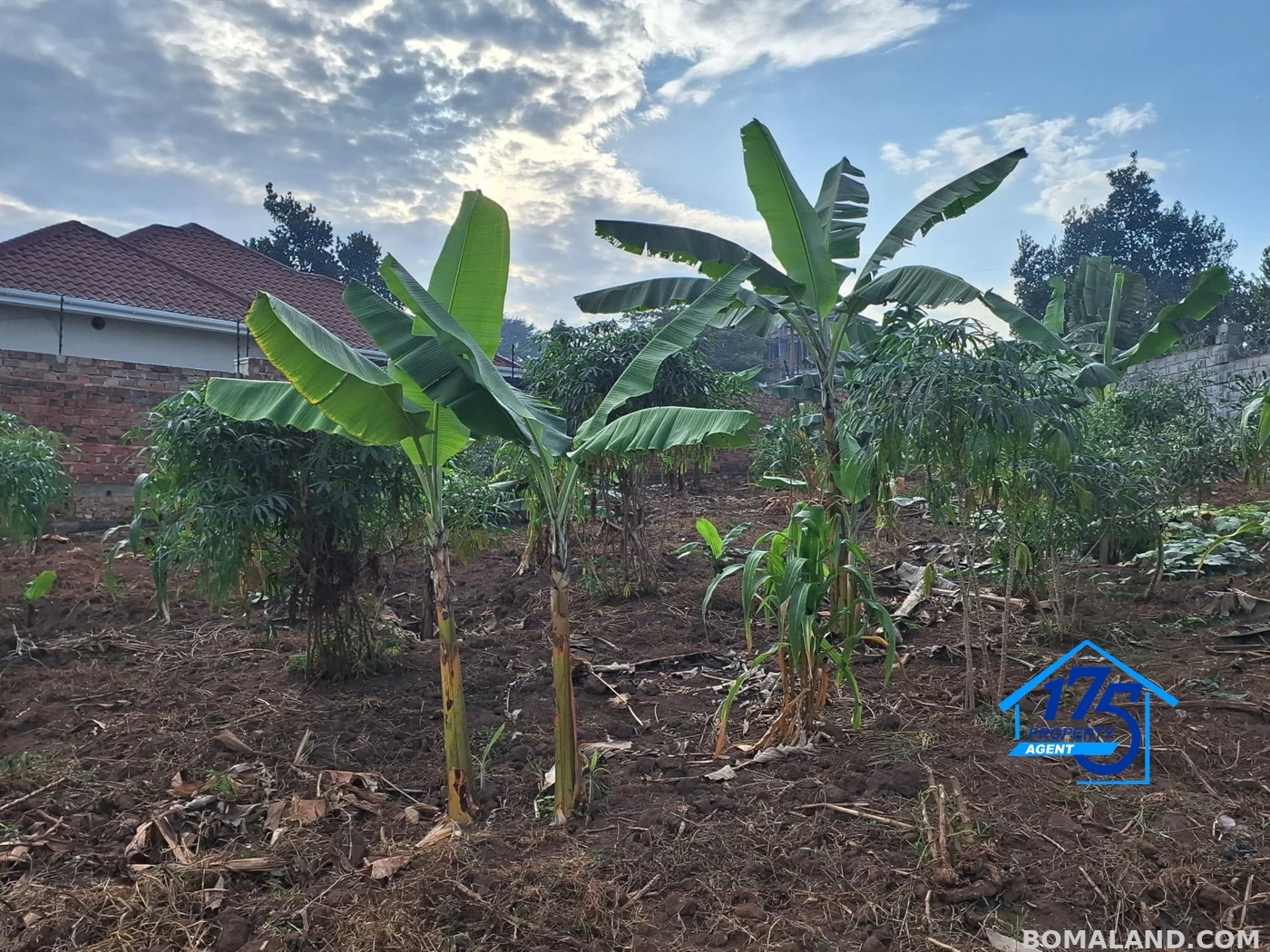 Residential Land for sale in Bulindo Wakiso Uganda