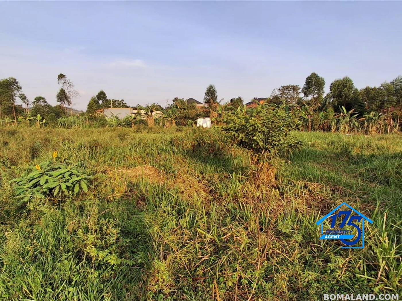 Residential Land for sale in Nabusugwe Wakiso Uganda