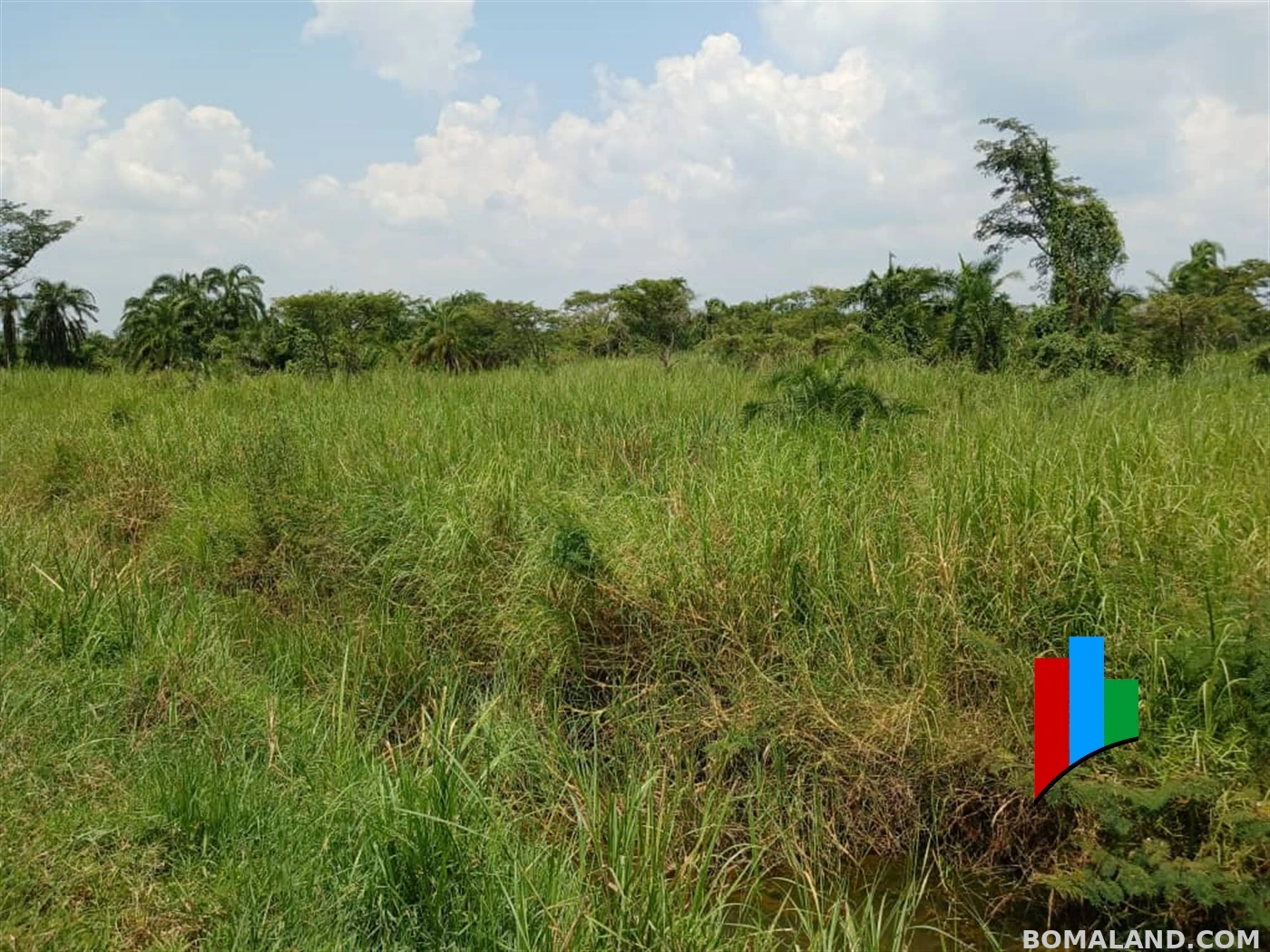 Agricultural Land for sale in Kiwoko Nakaseke Uganda