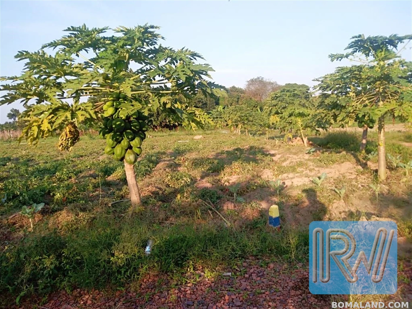 Residential Land for sale in Garuga Wakiso Uganda