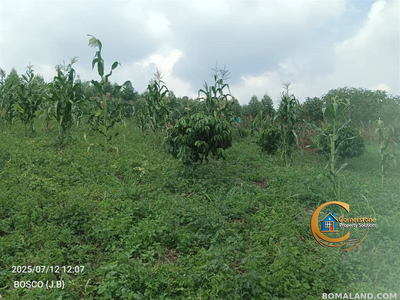 Agricultural Land for sale in Minana Mityana Uganda