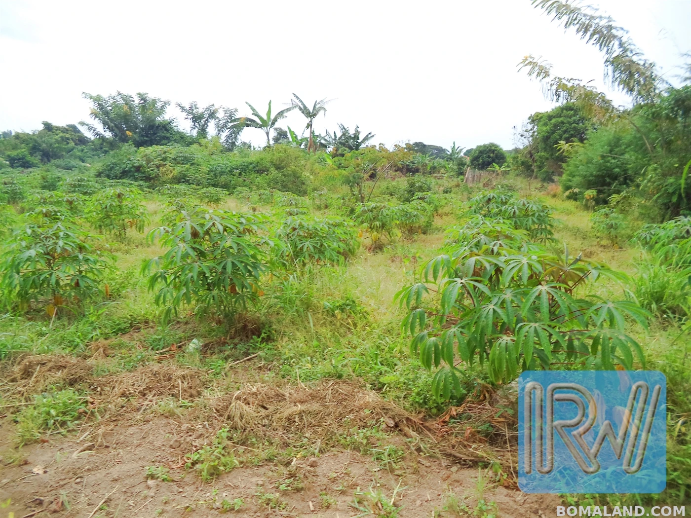 Residential Land for sale in Garuga Wakiso Uganda