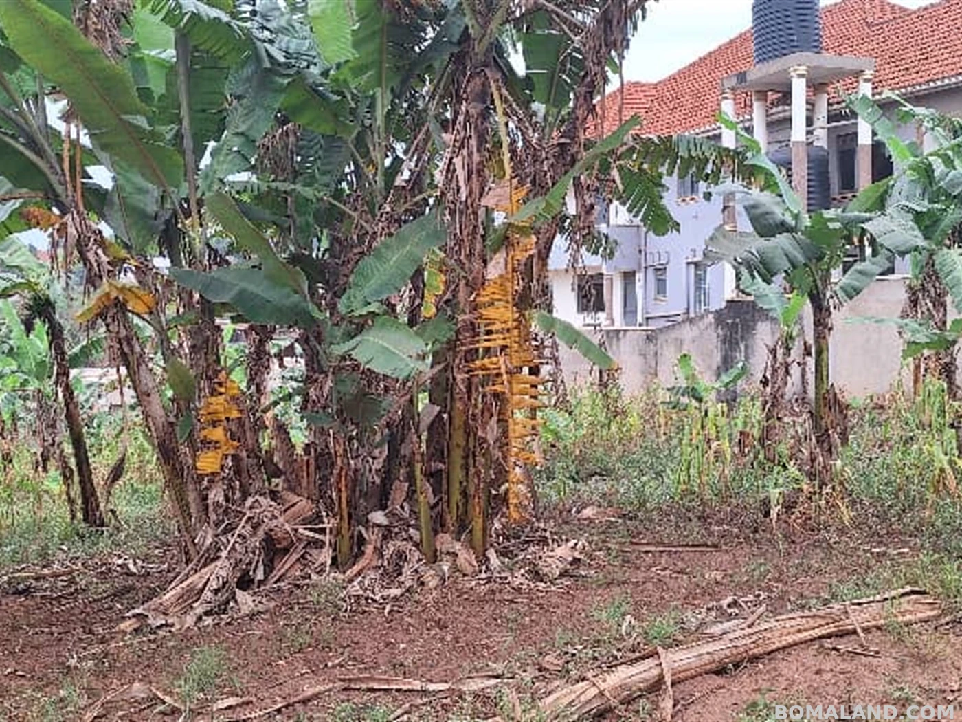 Residential Land for sale in Mulawa Wakiso Uganda