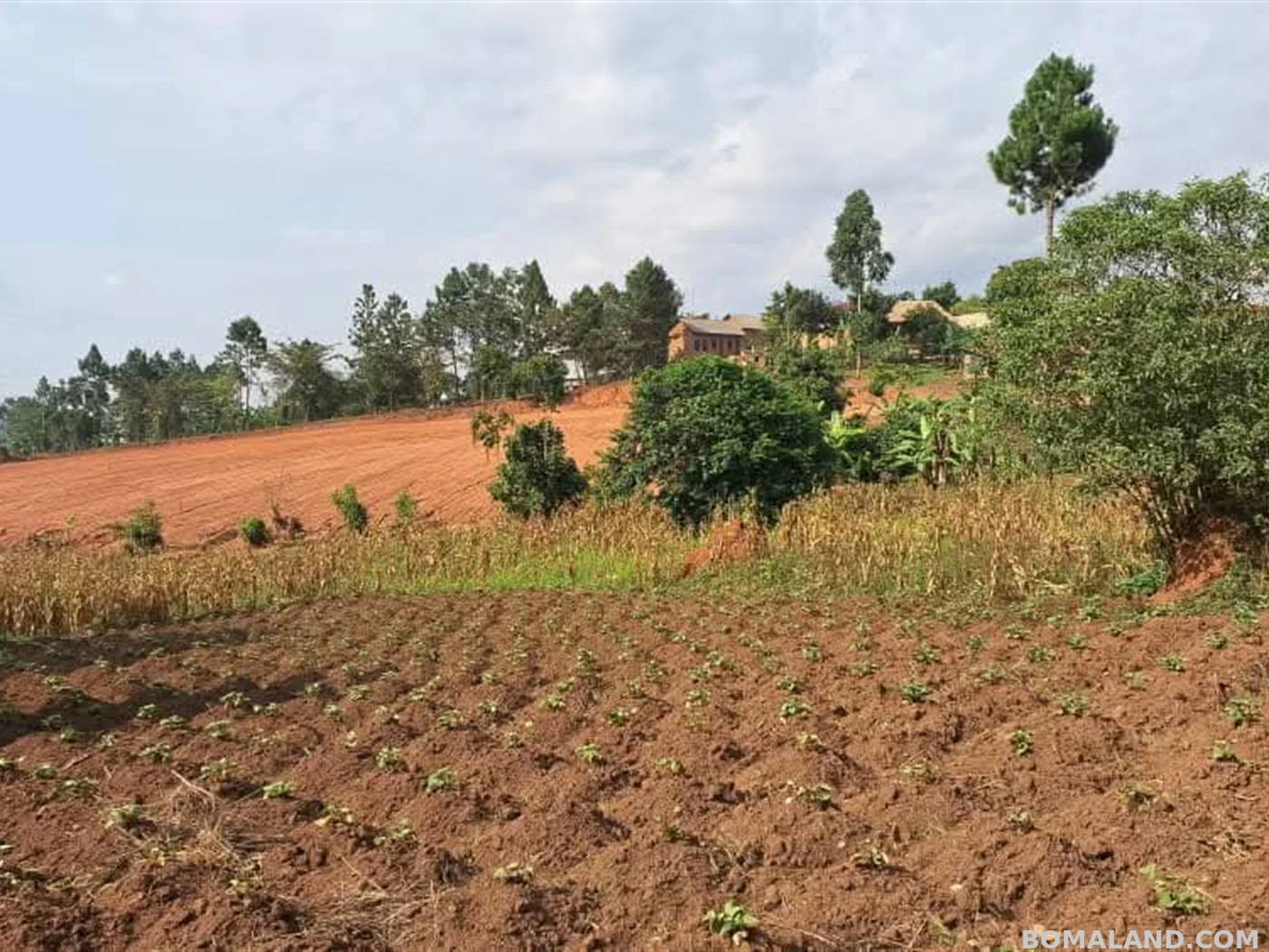 Residential Land for sale in Gayaza Wakiso Uganda
