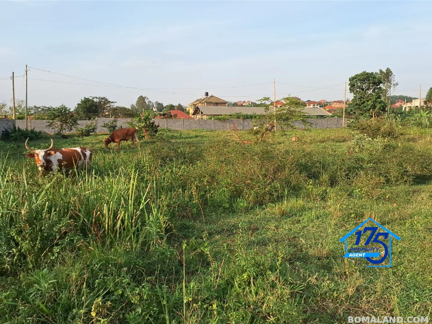 Residential Land for sale in Nabusugwe Wakiso Uganda