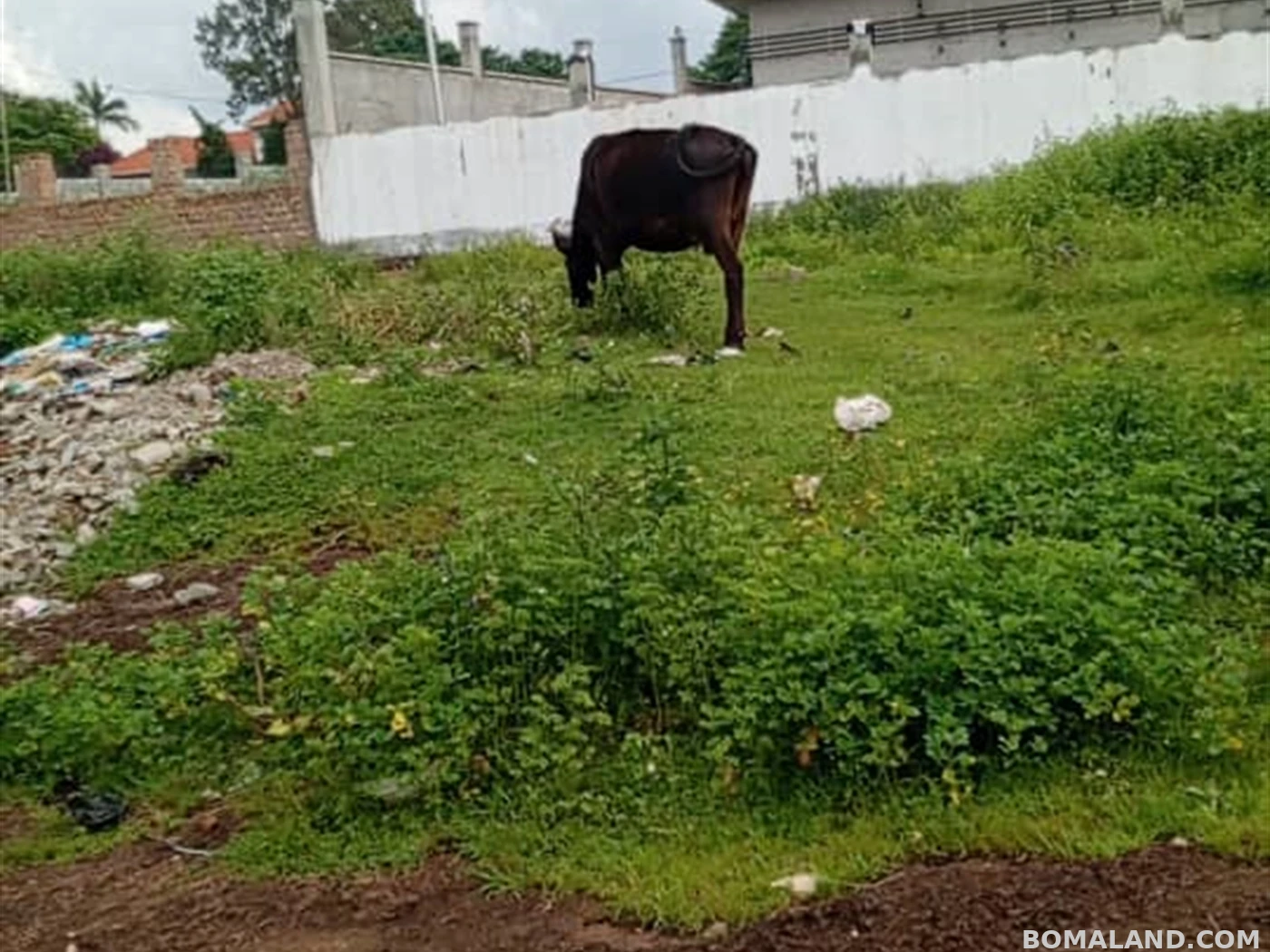 Residential Land for sale in Entebbe Wakiso Uganda