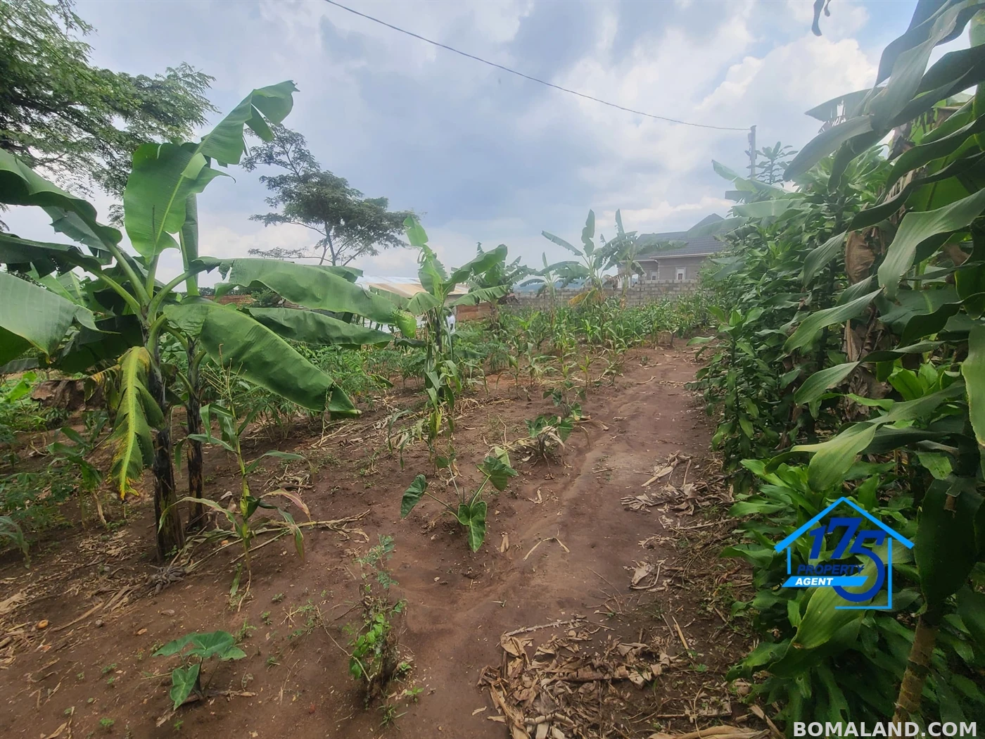Residential Land for sale in Kiwenda Wakiso Uganda