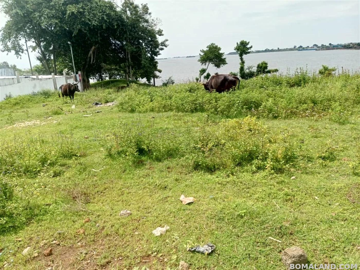 Residential Land for sale in Entebbe Wakiso Uganda