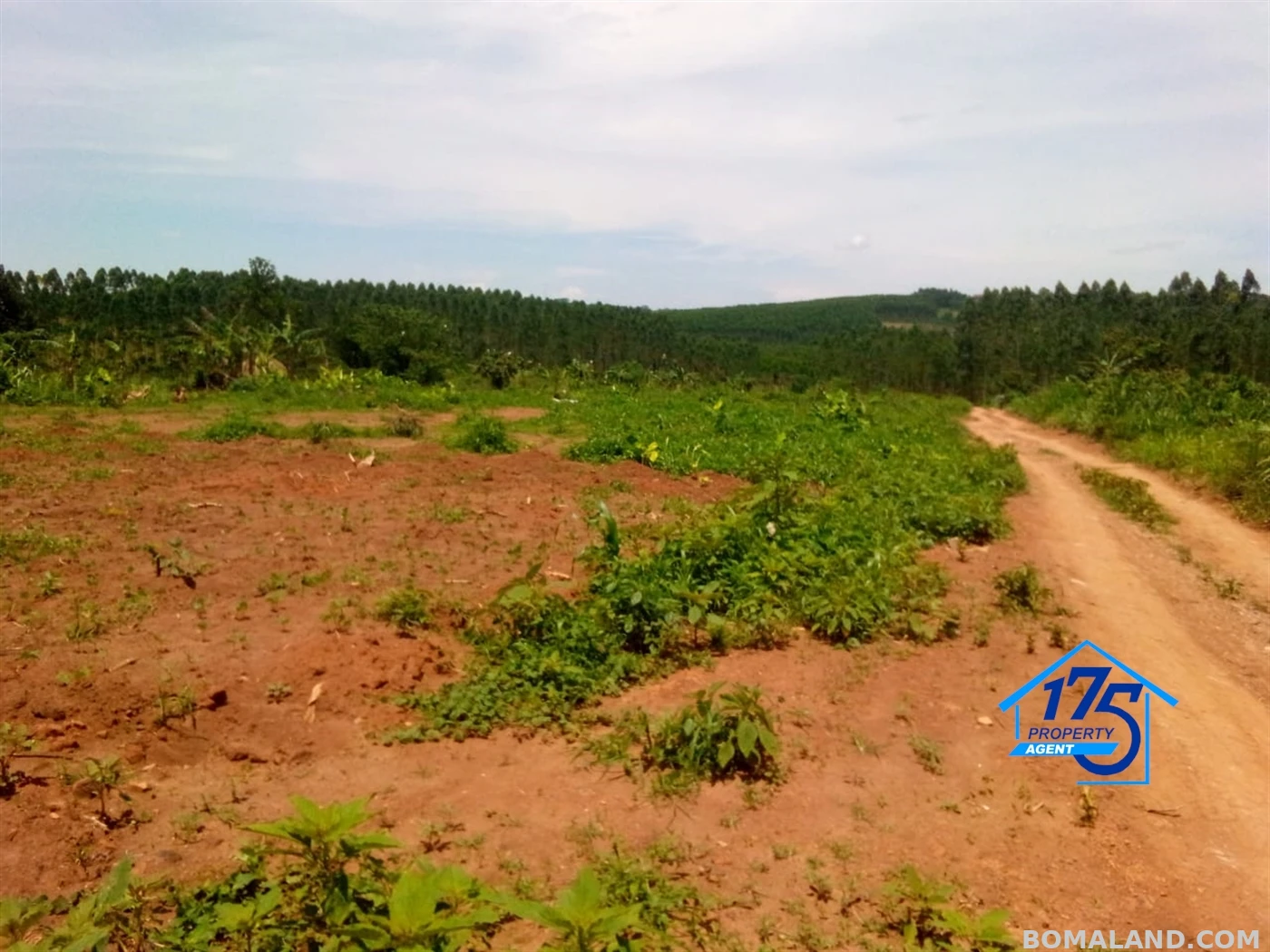 Residential Land for sale in Bukeelele Mukono Uganda