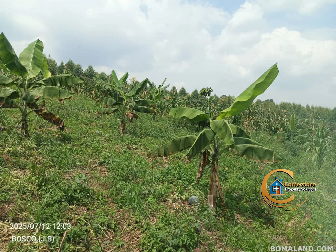 Agricultural Land for sale in Minana Mityana Uganda