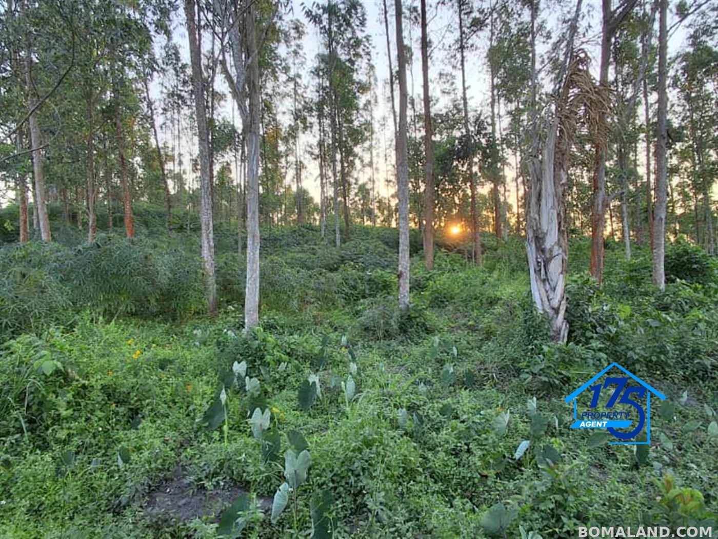 Residential Land for sale in Nkokonjeru Mukono Uganda
