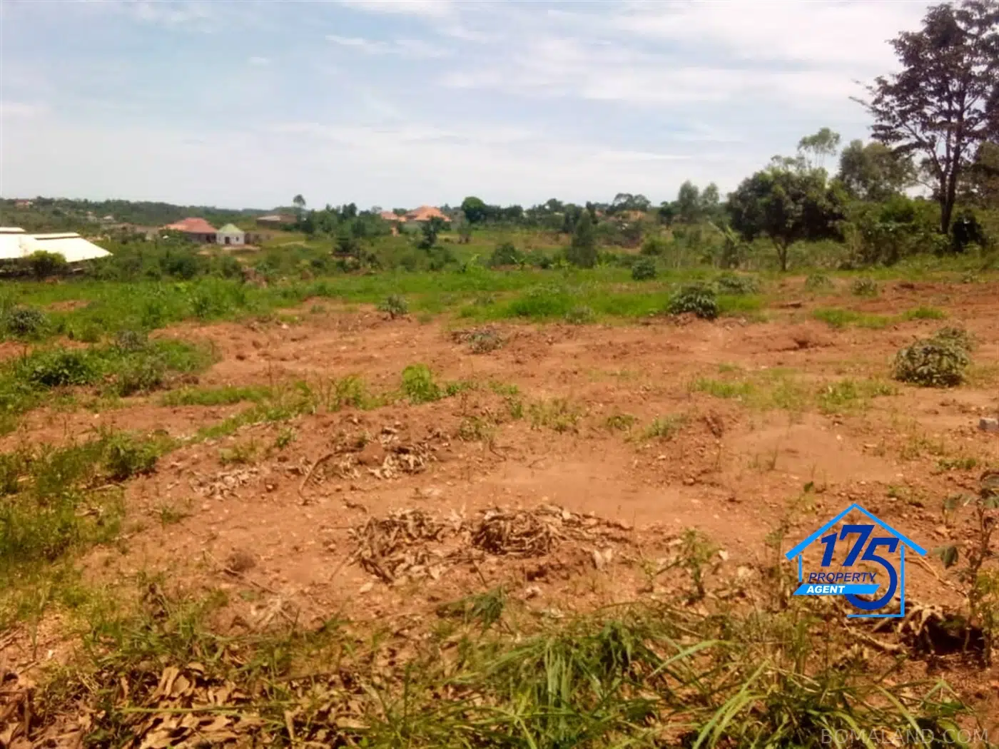 Residential Land for sale in Bukeelele Mukono Uganda