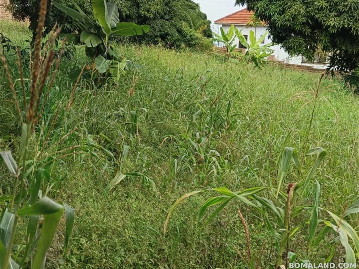 Residential Land for sale in Bwebajja Wakiso Uganda