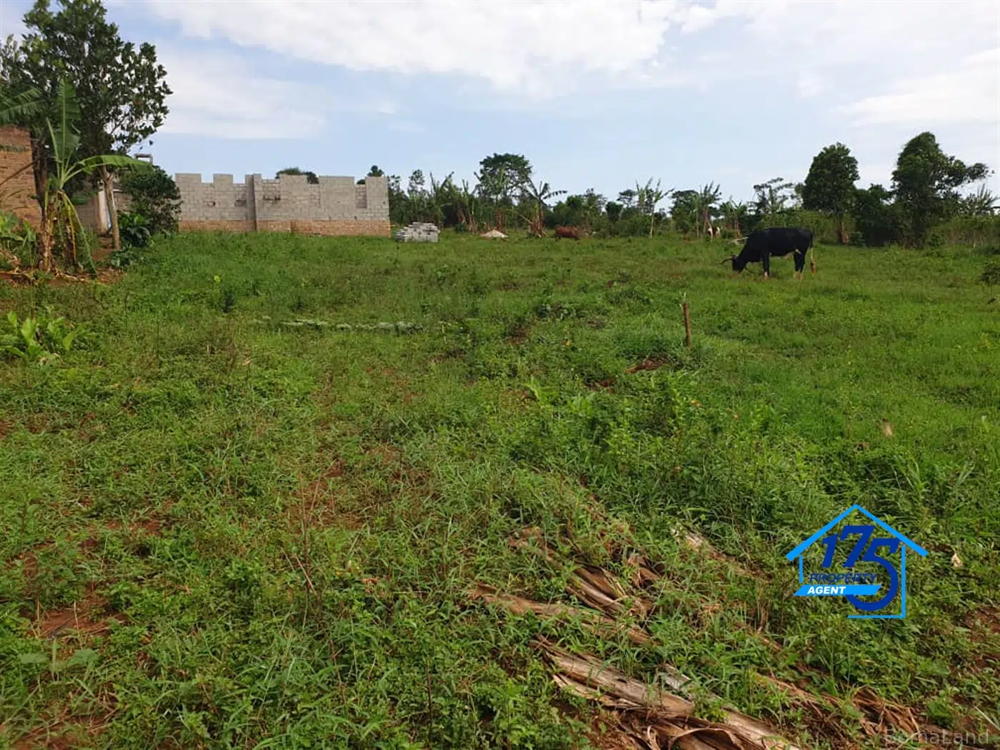 Residential Land for sale in Bukeelele Mukono Uganda
