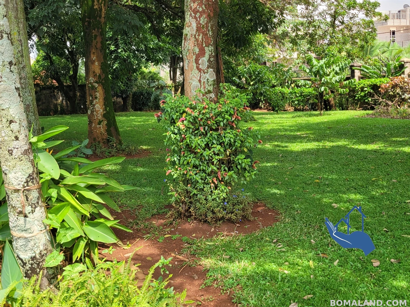 4 bedroom Bungalow for rent in Muyenga Kampala Uganda