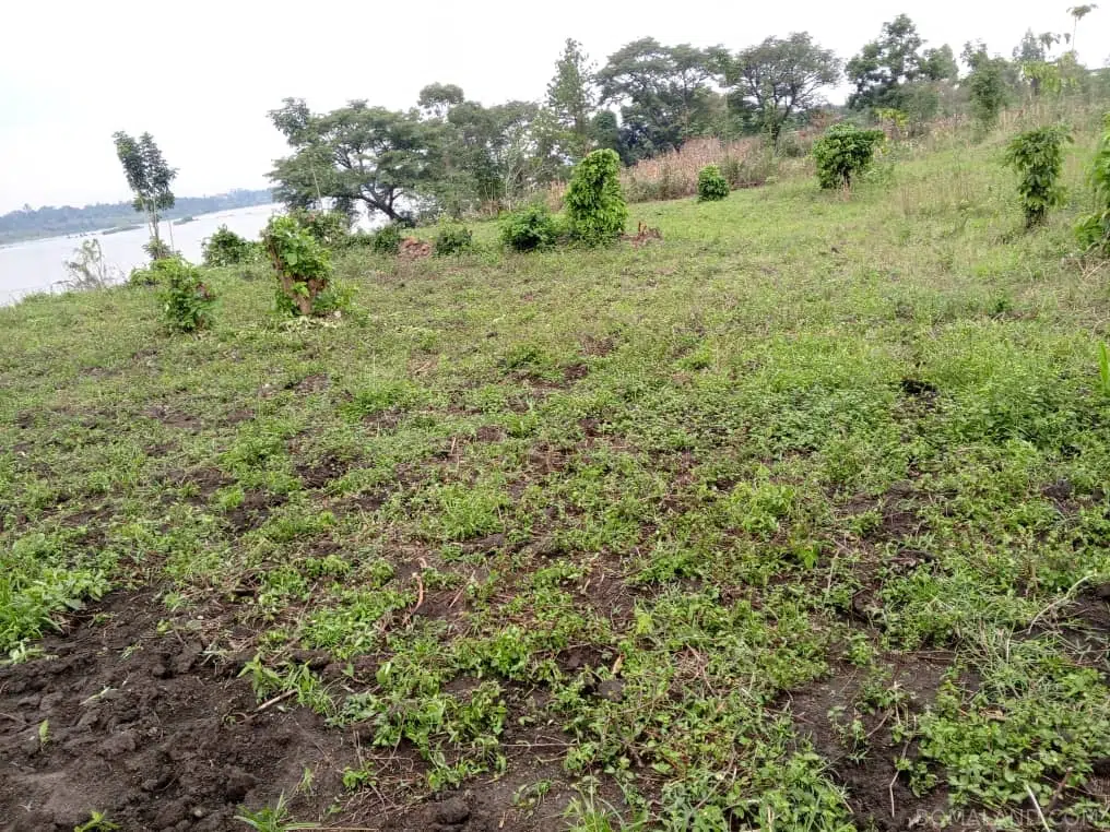 Recreational Land for sale in Namatogonya Kayunga Uganda