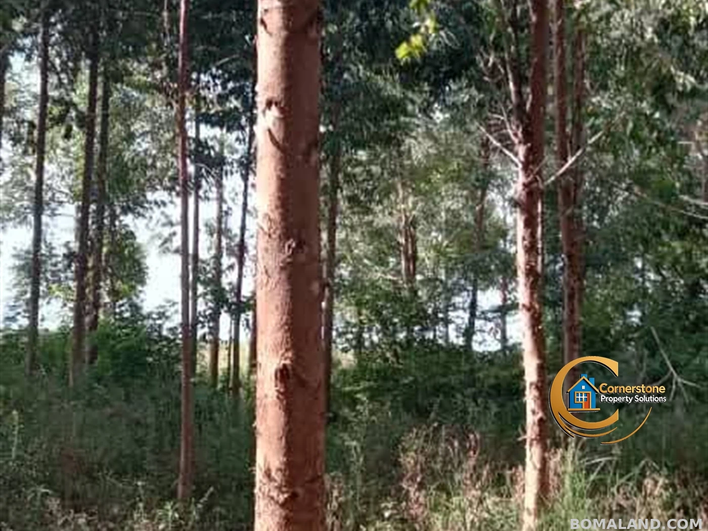 Agricultural Land for sale in Galilaya Kayunga Uganda
