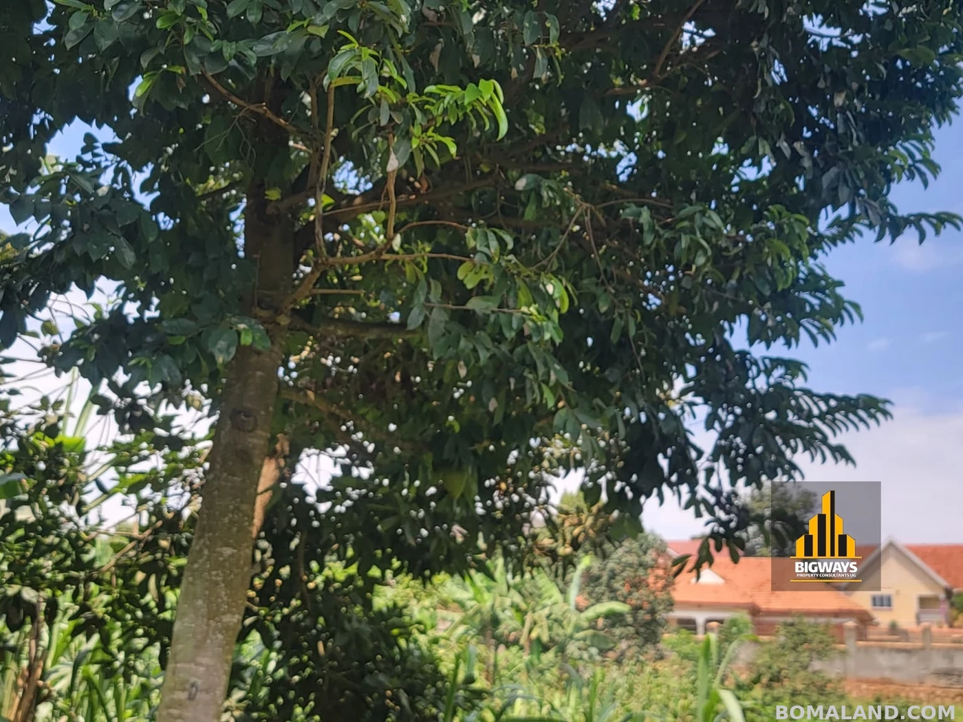 Residential Land for sale in Kiwaatule Kampala Uganda