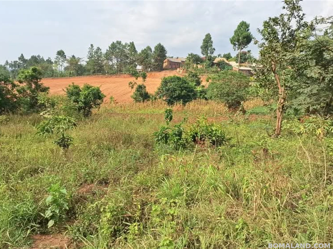 Residential Land for sale in Gayaza Wakiso Uganda