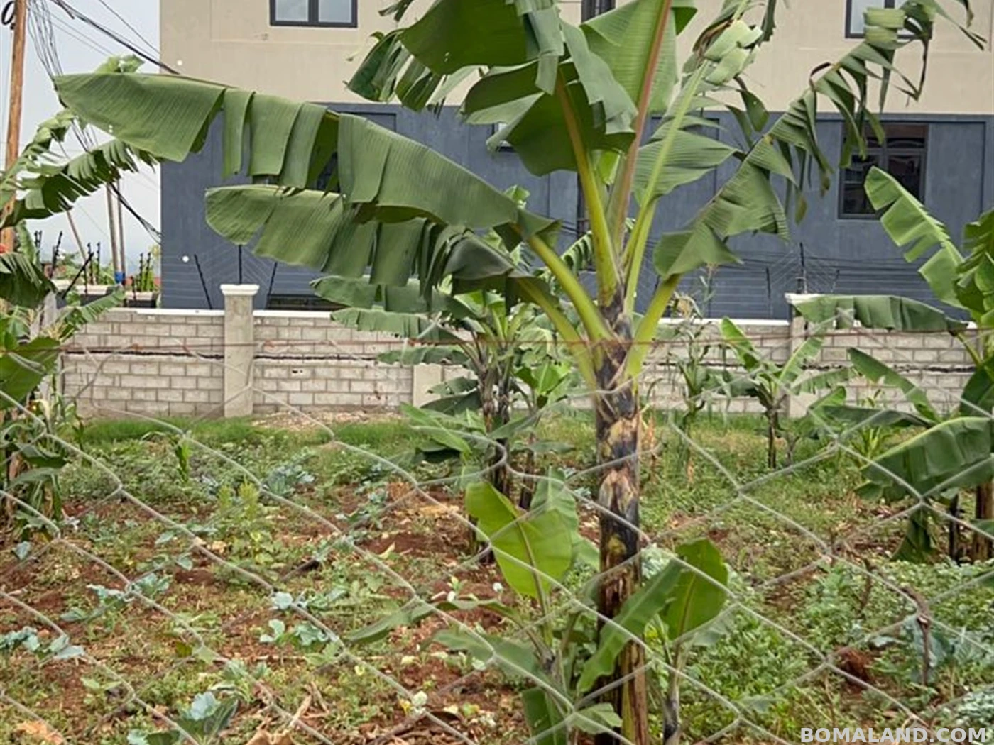 Residential Land for sale in Kyanja Wakiso Uganda