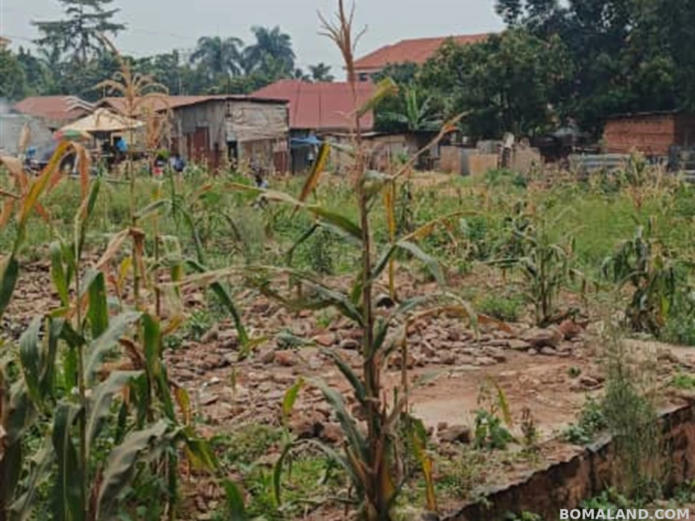 Residential Land for sale in Bukoto Kampala Uganda