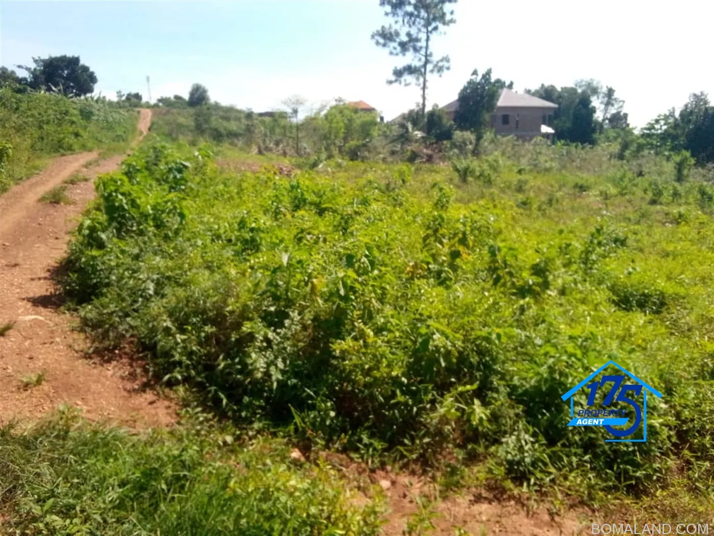 Residential Land for sale in Nabusugwe Wakiso Uganda
