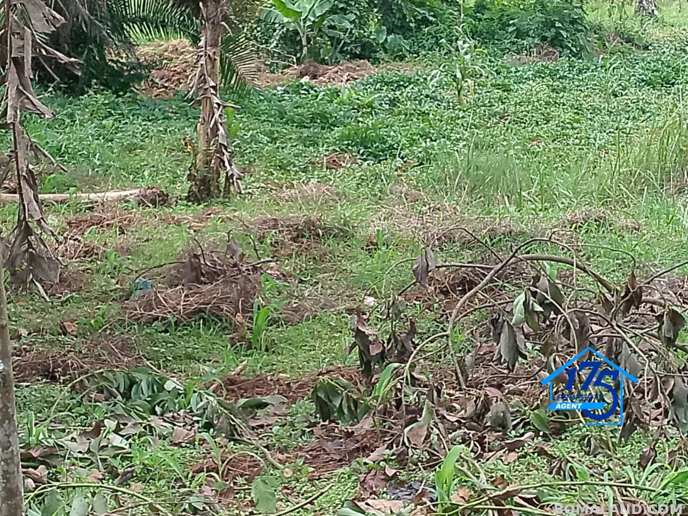 Residential Land for sale in Naalya Wakiso Uganda