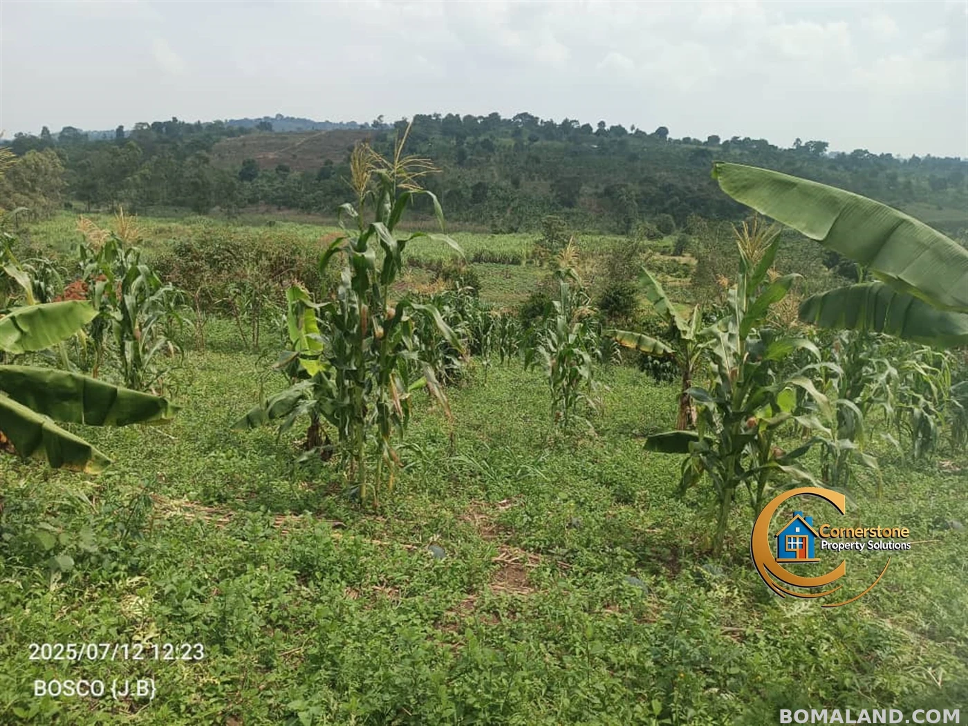 Agricultural Land for sale in Minana Mityana Uganda