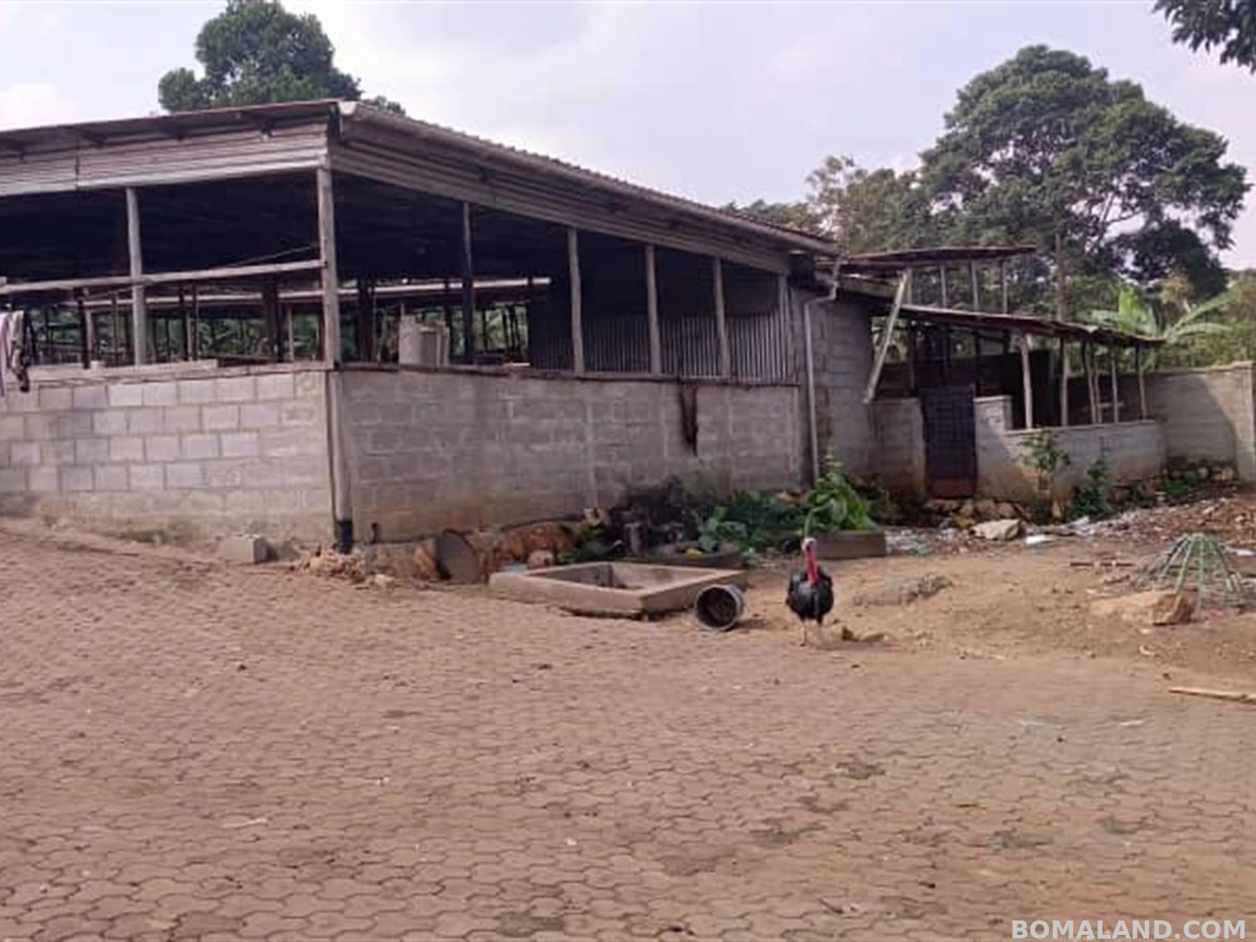 6 bedroom Bungalow for sale in Nakweelo Wakiso Uganda