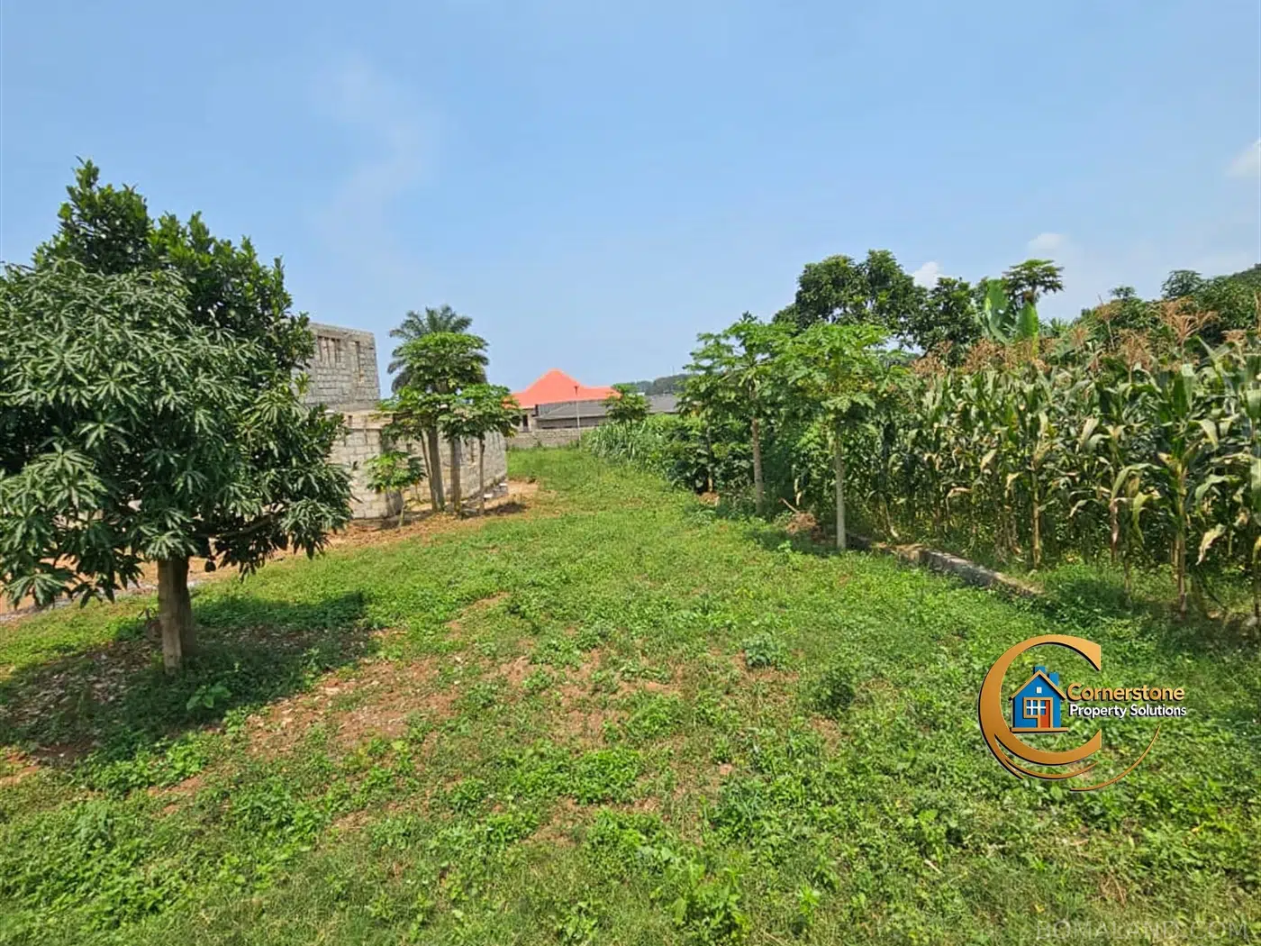 Residential Land for sale in Nkumba Wakiso Uganda