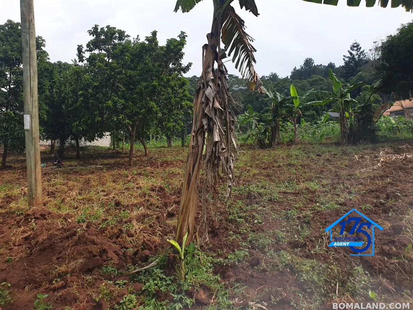 Residential Land for sale in Gayaza Wakiso Uganda