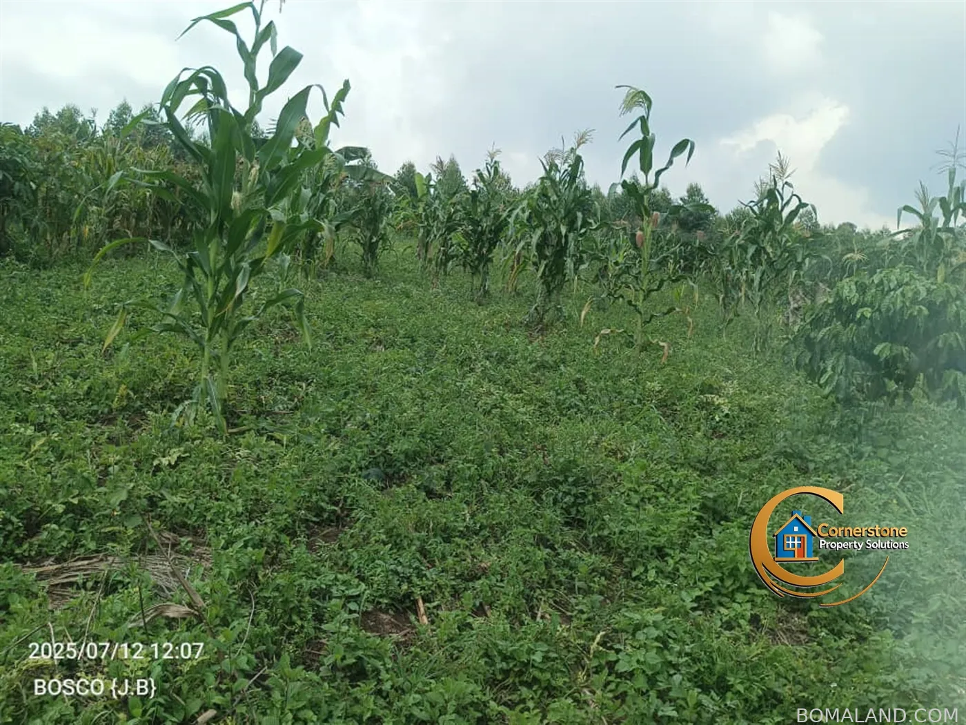 Agricultural Land for sale in Minanna Mityana Uganda