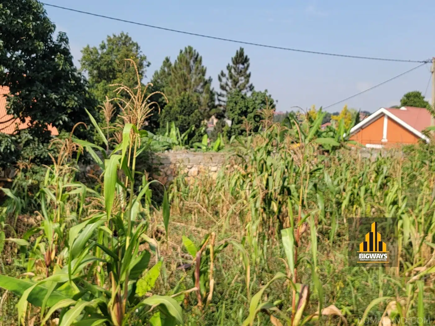 Residential Land for sale in Kyanja Kampala Uganda