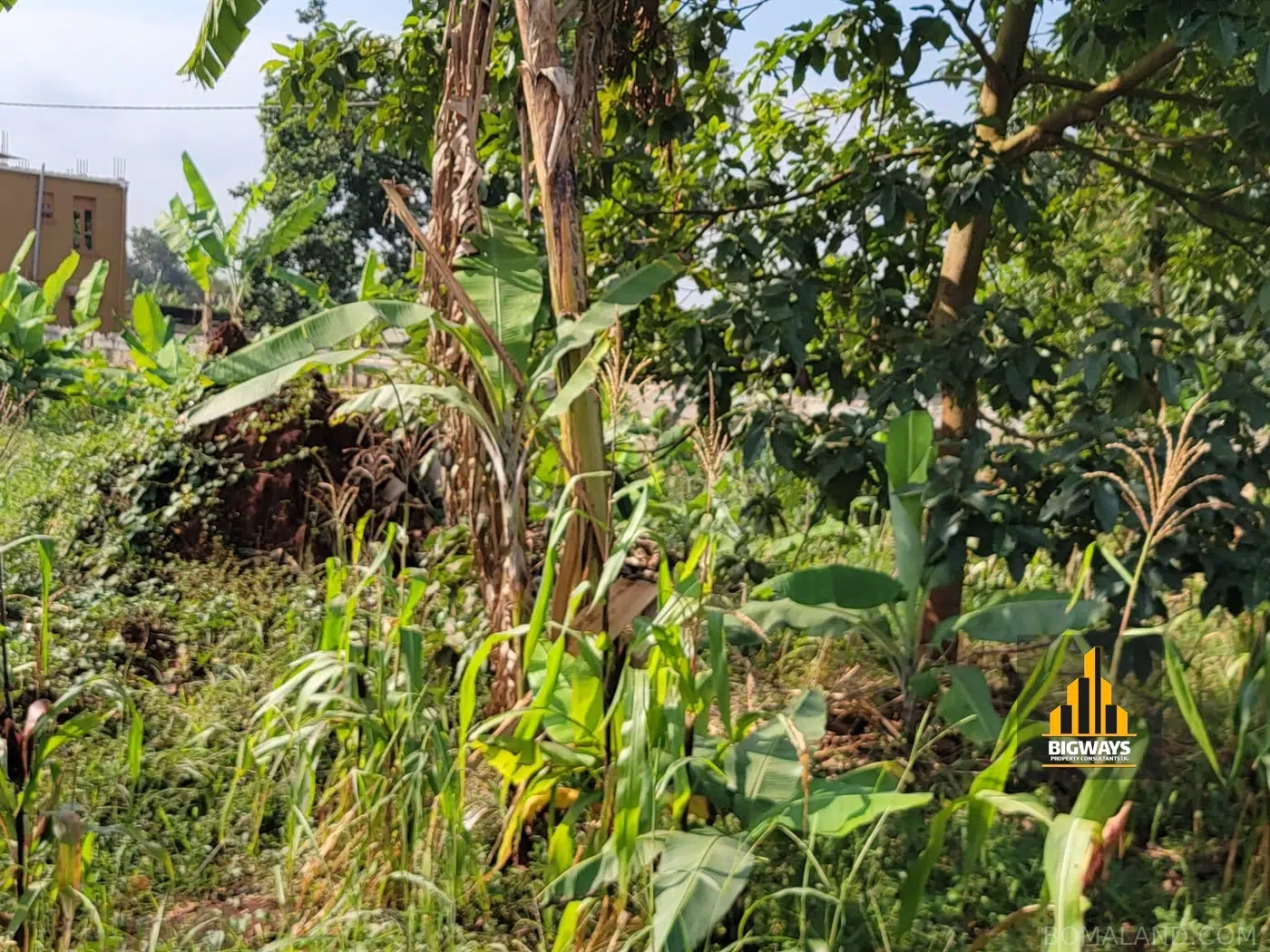 Residential Land for sale in Kyanja Kampala Uganda