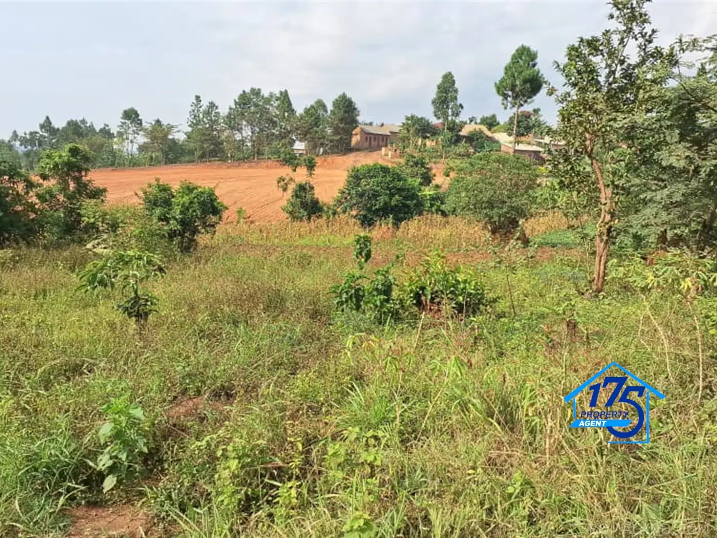 Residential Land for sale in Gayaza Wakiso Uganda