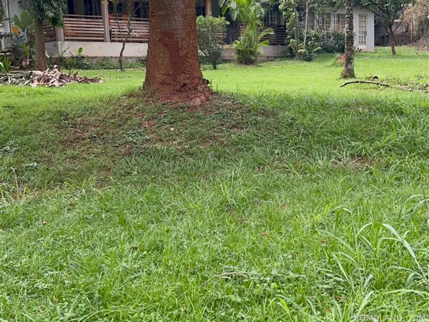 4 bedroom Bungalow for sale in Bugoloobi Kampala Uganda