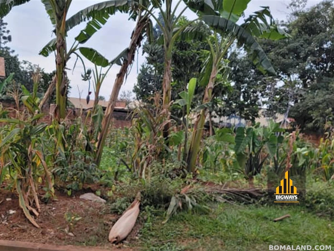 Residential Land for sale in Kiwaatule Kampala Uganda