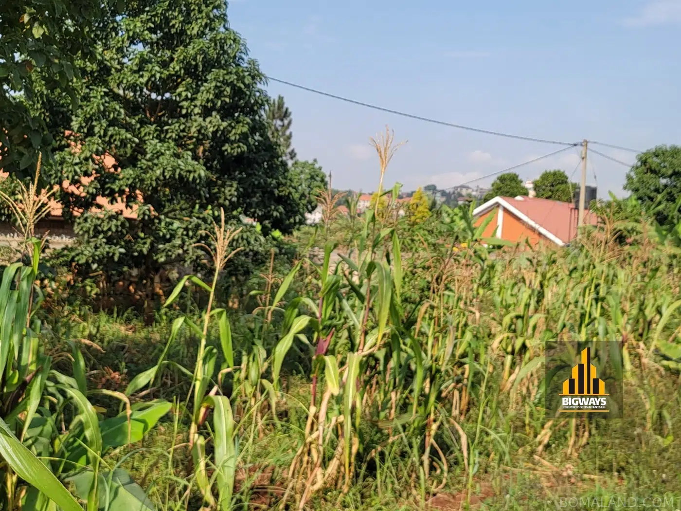 Residential Land for sale in Kyanja Kampala Uganda