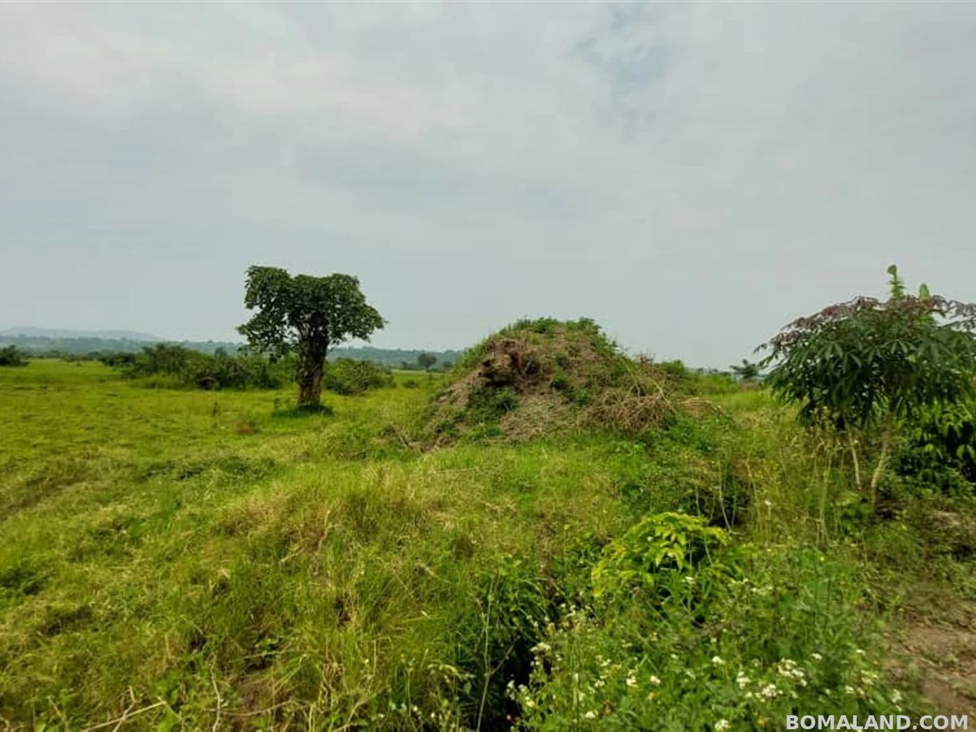 Agricultural Land for sale in Kakoni Gomba Uganda