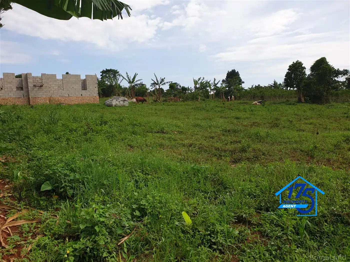 Residential Land for sale in Bukeelele Mukono Uganda